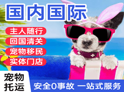 武汉机场快运国际宠物托运 【国
